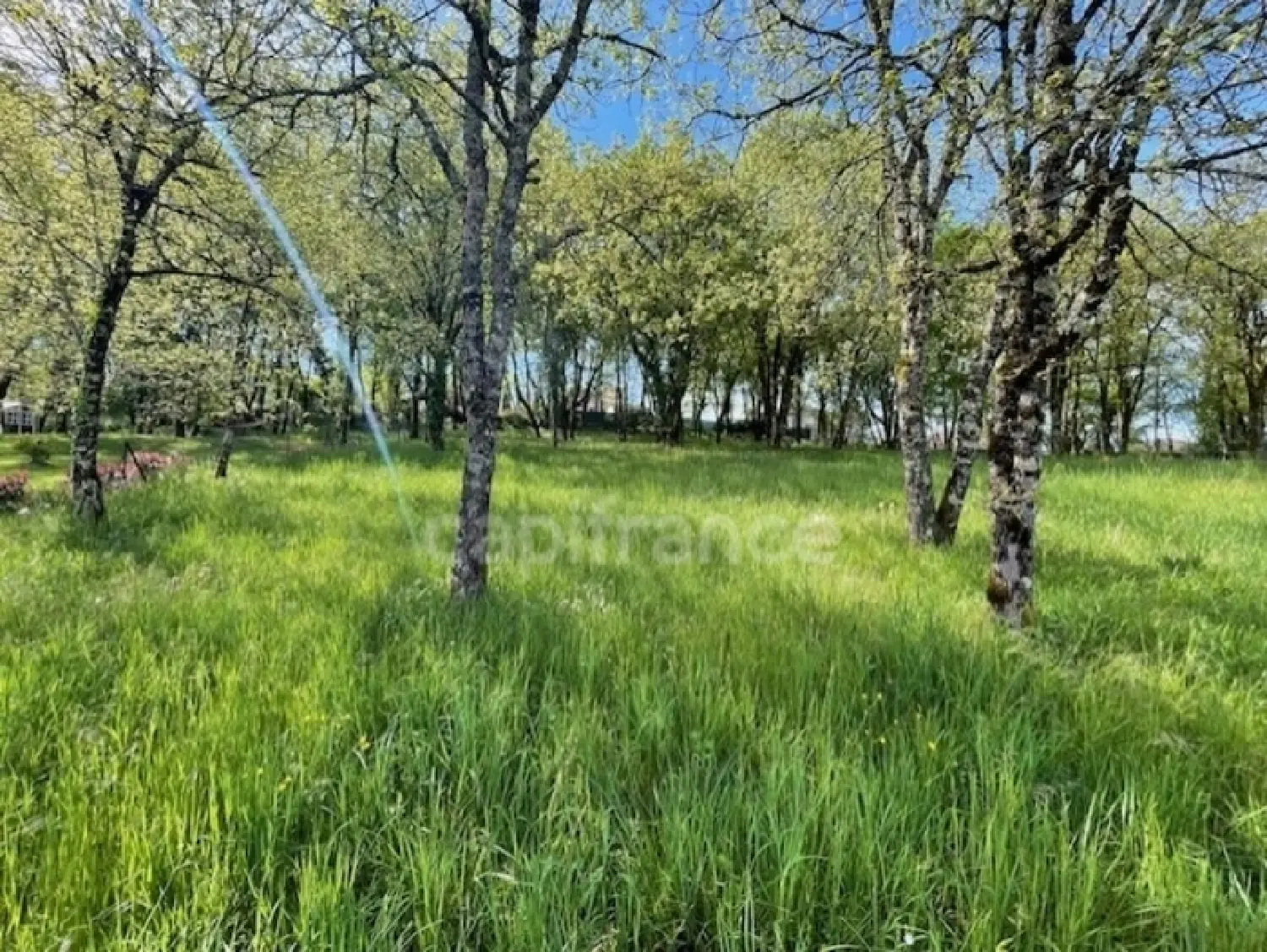 à vendre terrain Martel Lot 1