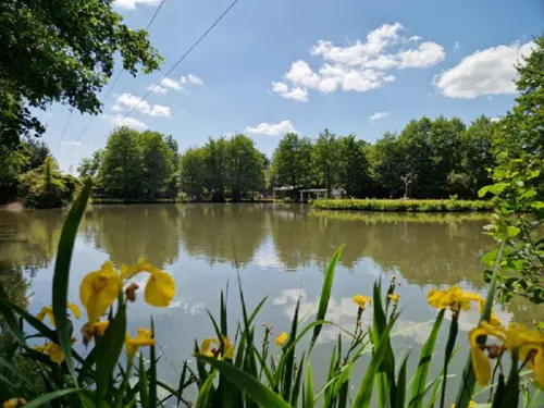Meaucé Eure-et-Loir terrein foto 7092329