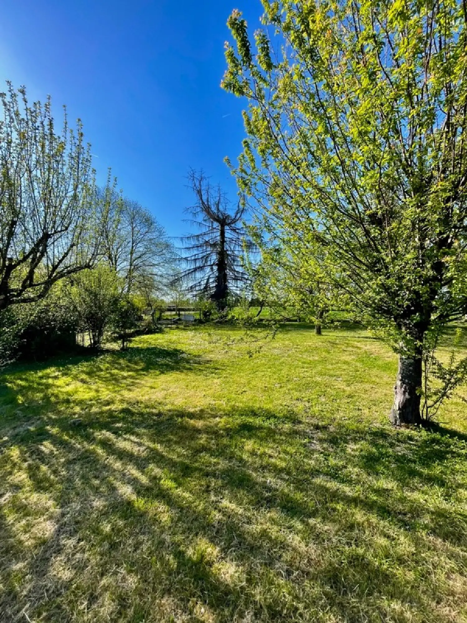 en venta terreno Montauban Tarn-et-Garonne 2