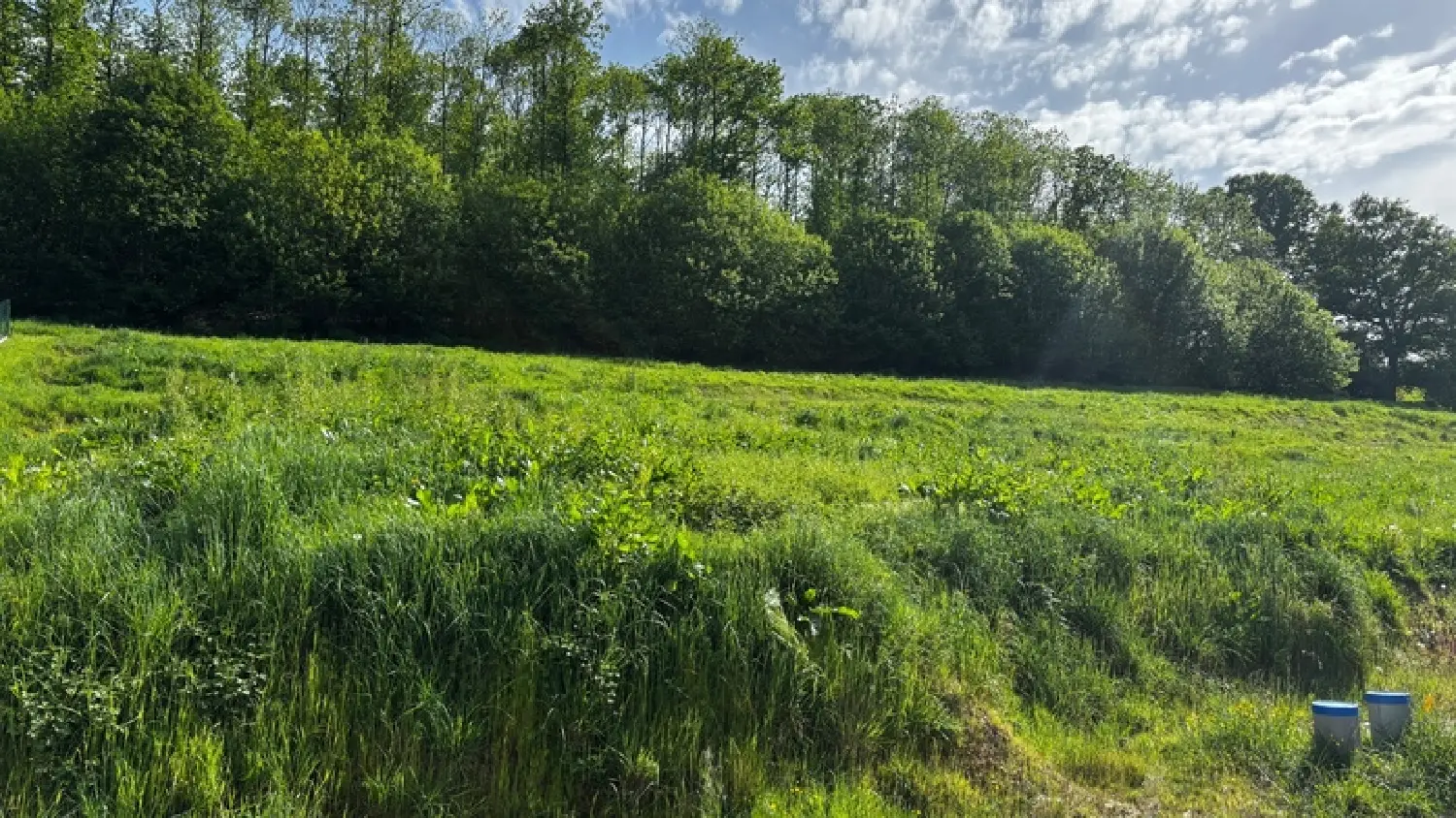 te koop terrein Montreuil-sous-Pérouse Ille-et-Vilaine 1