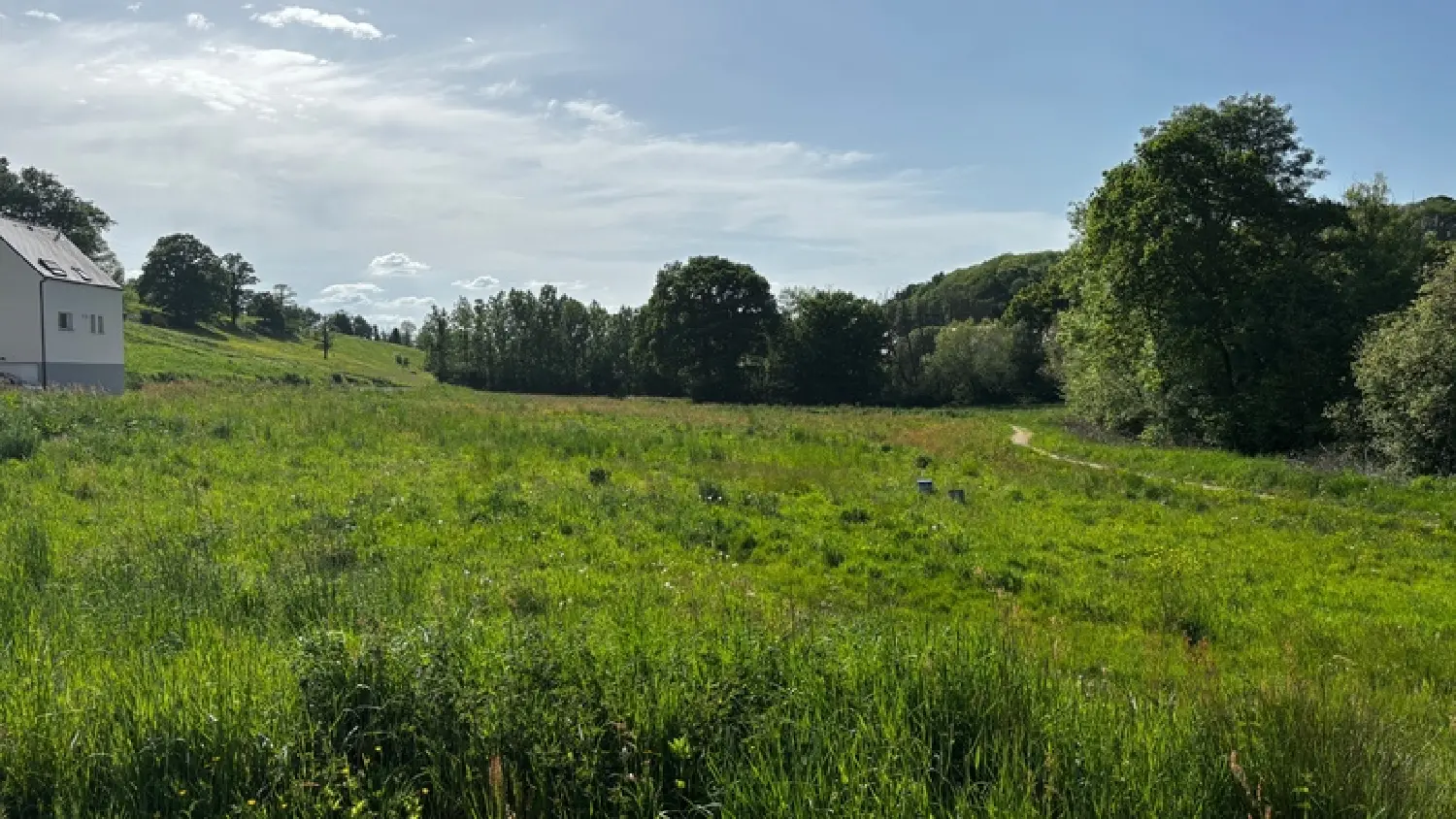  te koop terrein Montreuil-sous-Pérouse Ille-et-Vilaine 3