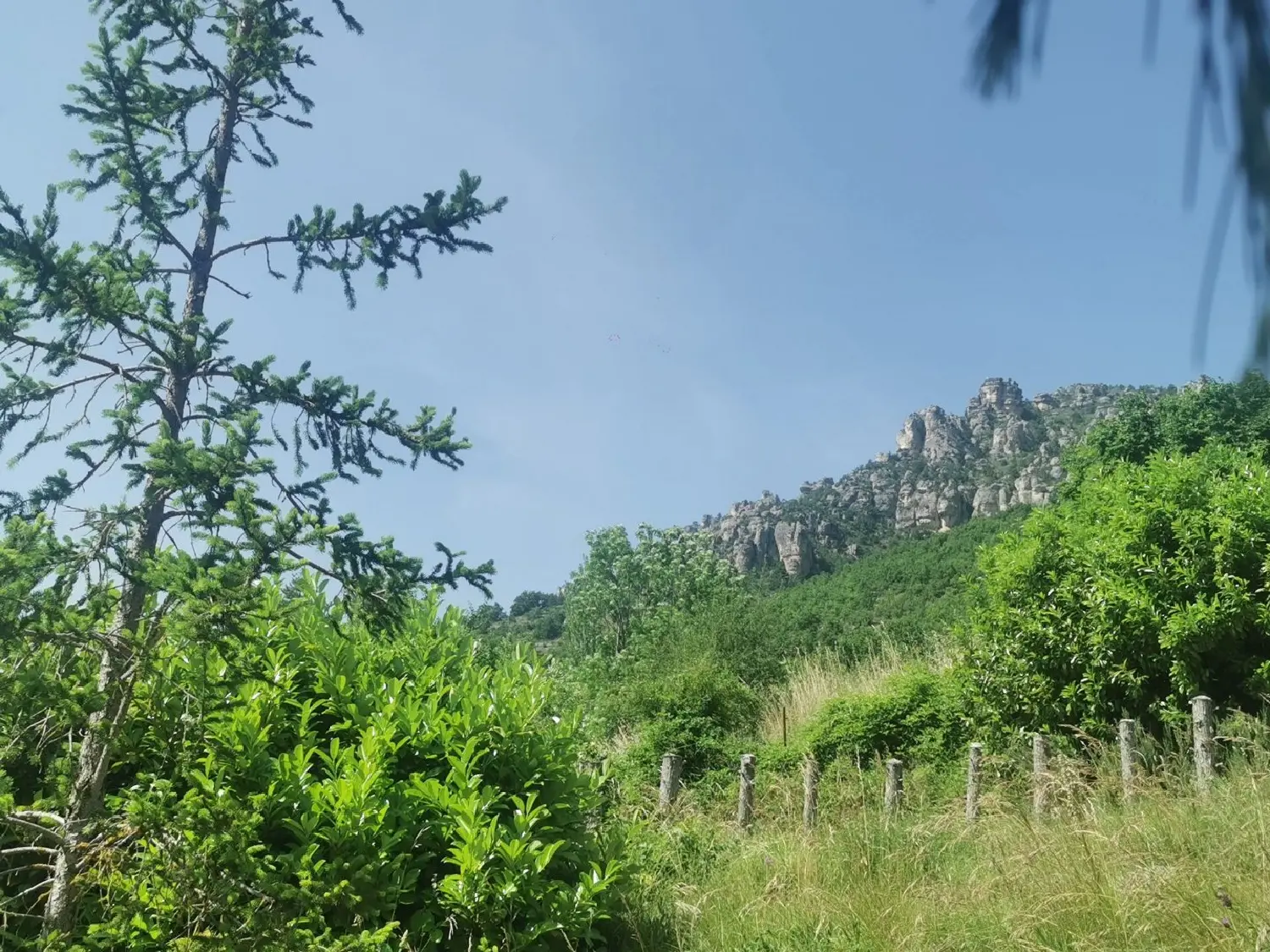  kaufen Grundstück Mostuéjouls Aveyron 4
