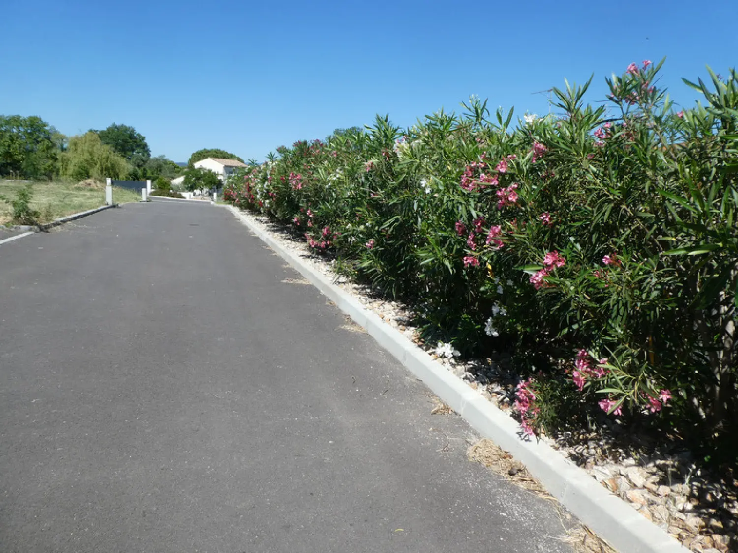  te koop terrein Murviel-lès-Béziers Hérault 2