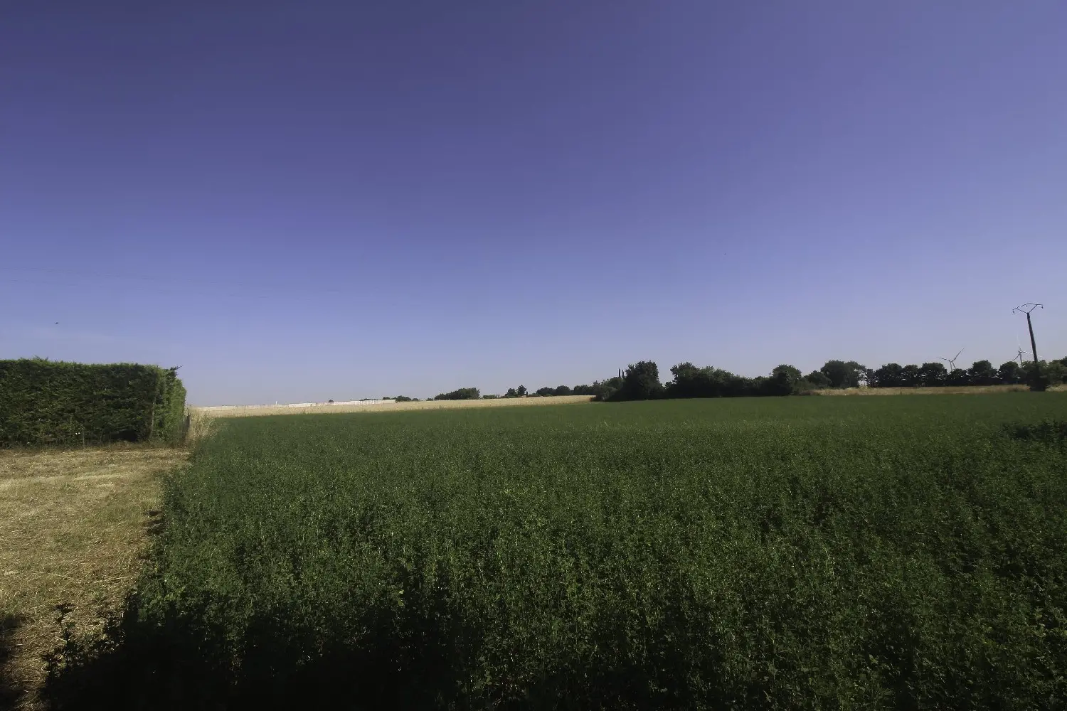  for sale terrain Nachamps Charente-Maritime 3