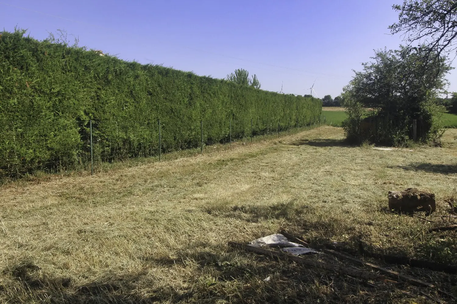  en venta terreno Nachamps Charente-Maritime 4