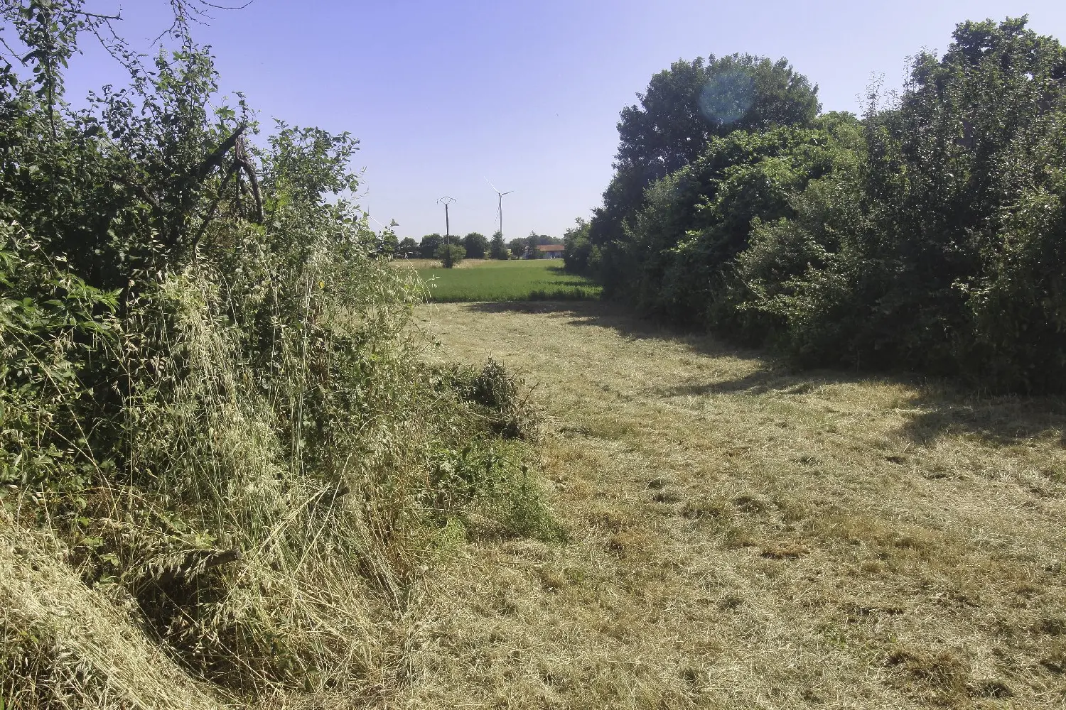  en venta terreno Nachamps Charente-Maritime 5