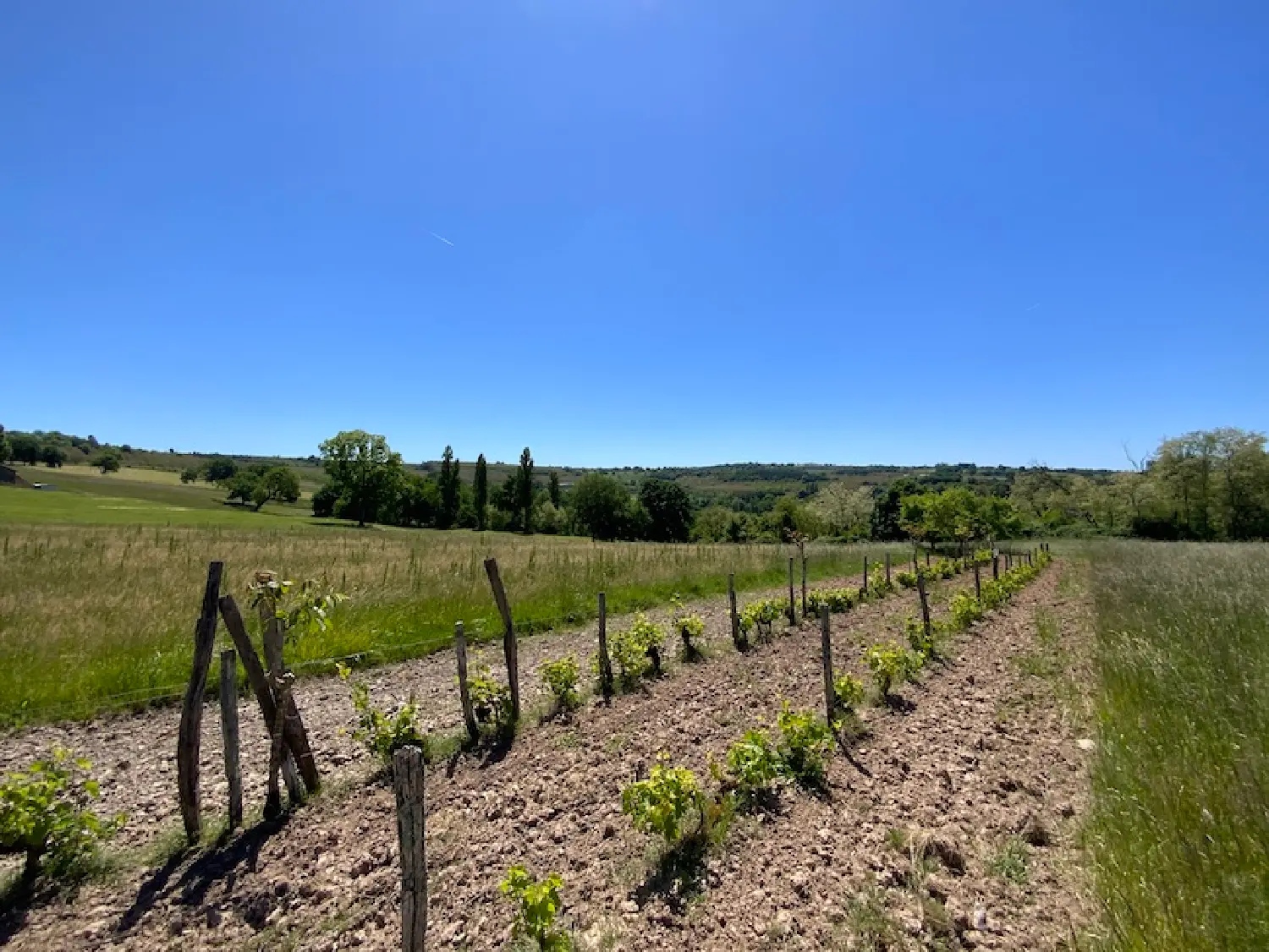  te koop terrein Nailhac Dordogne 2