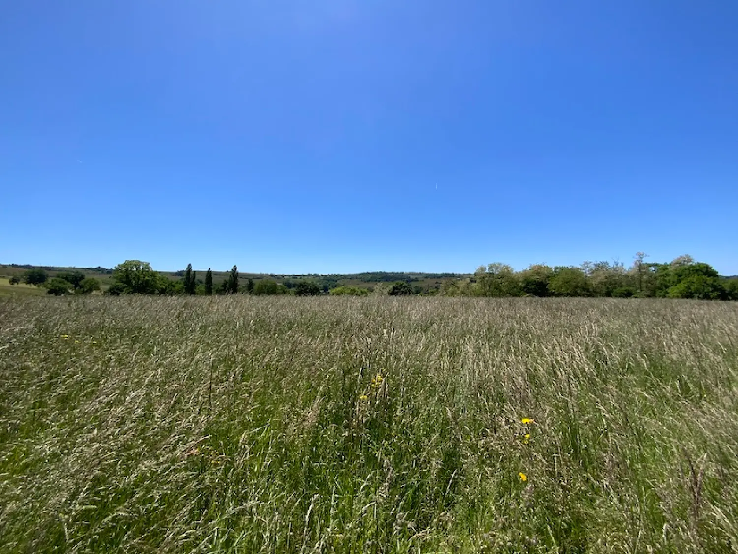  te koop terrein Nailhac Dordogne 5