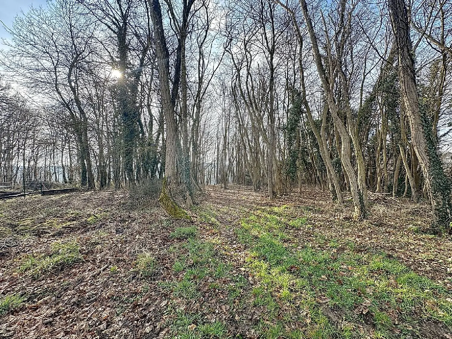  kaufen Grundstück Nailly Yonne 2