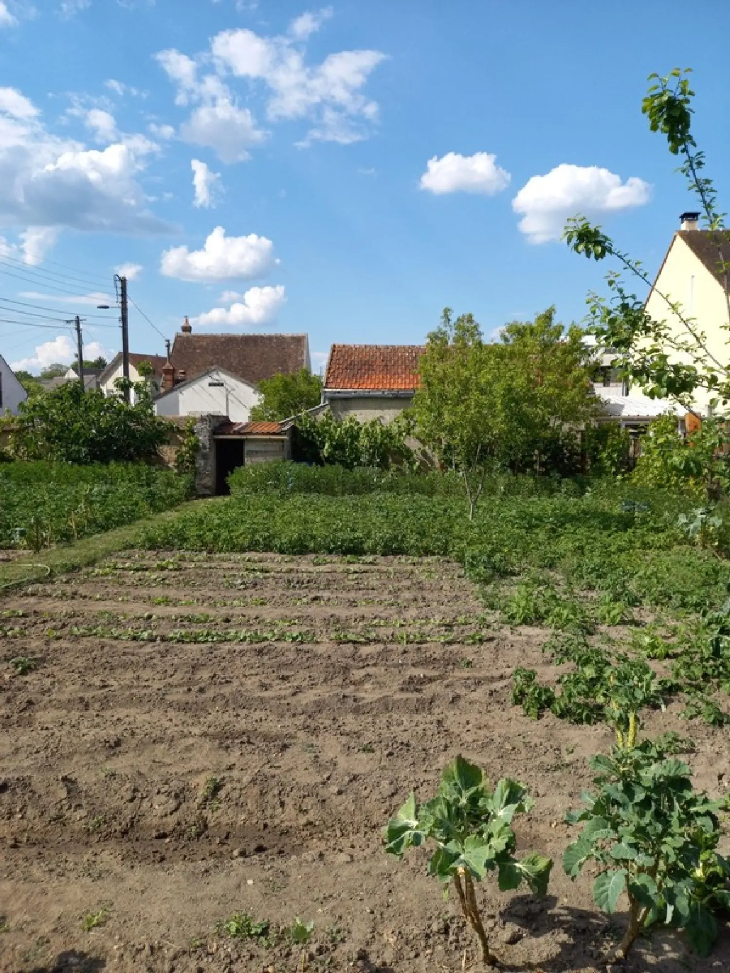  à vendre terrain Nemours Seine-et-Marne 3