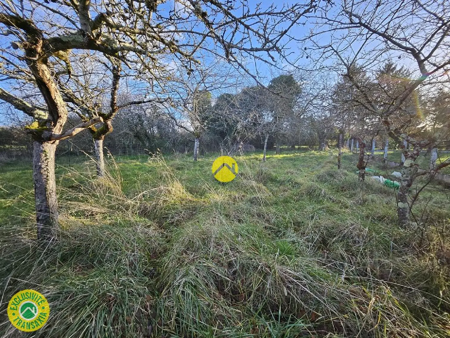  en venta terreno Nérondes Cher 8