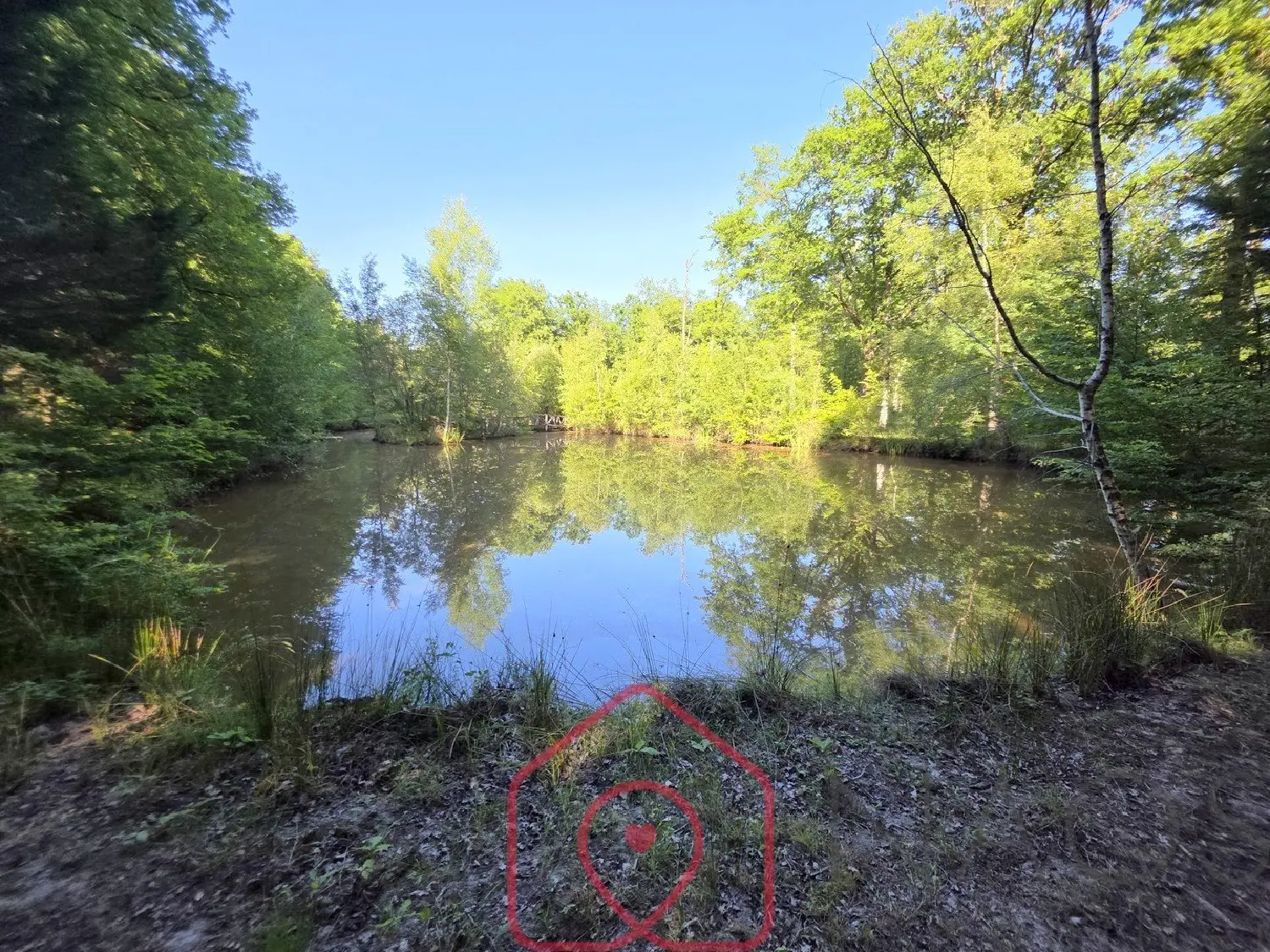  en venta terreno Nouan-le-Fuzelier Loir-et-Cher 4