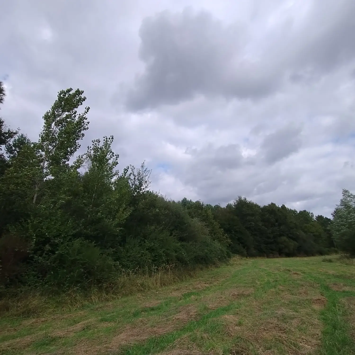  te koop terrein Noyant Maine-et-Loire 2