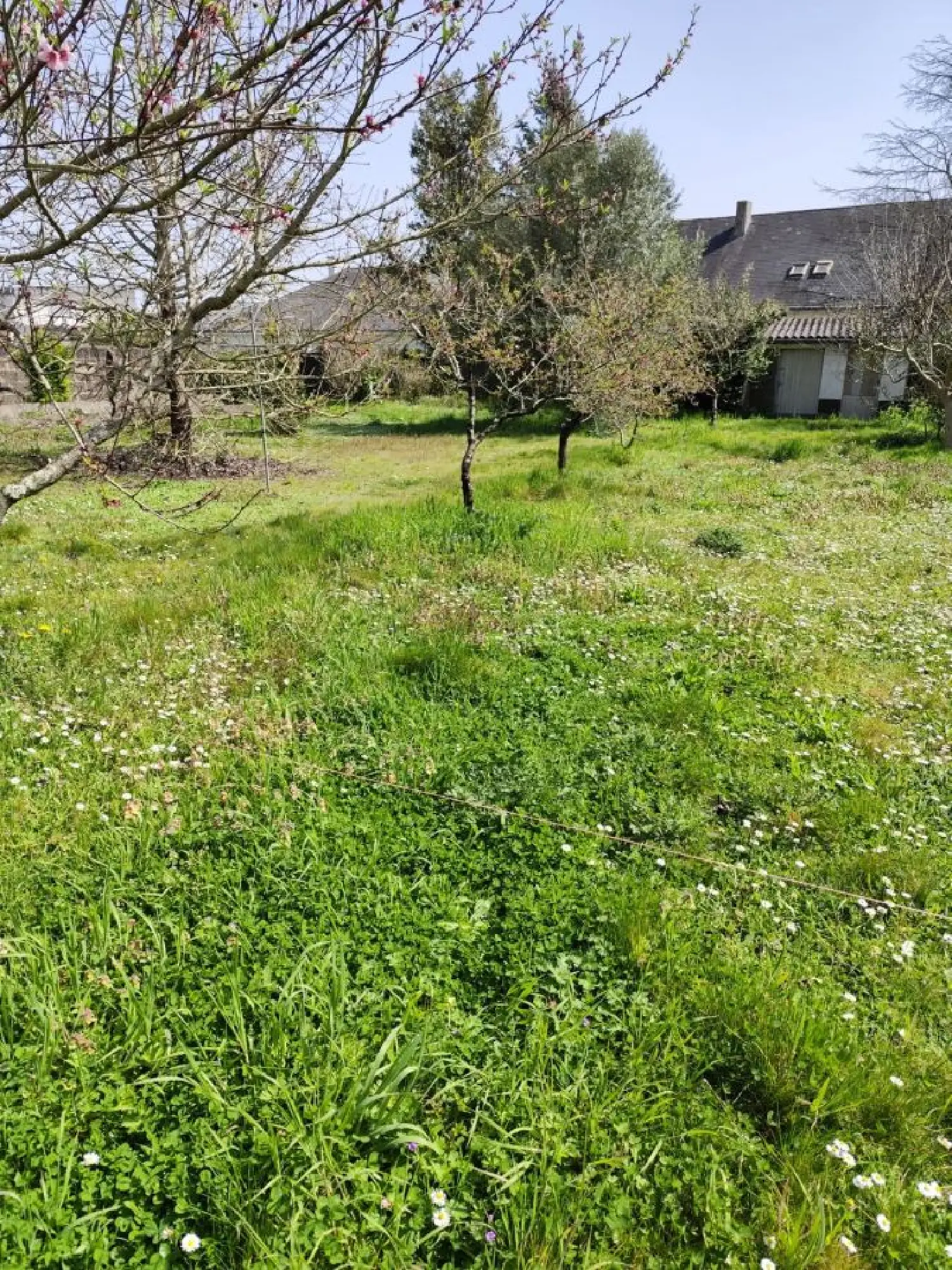  te koop terrein Orvault Loire-Atlantique 2