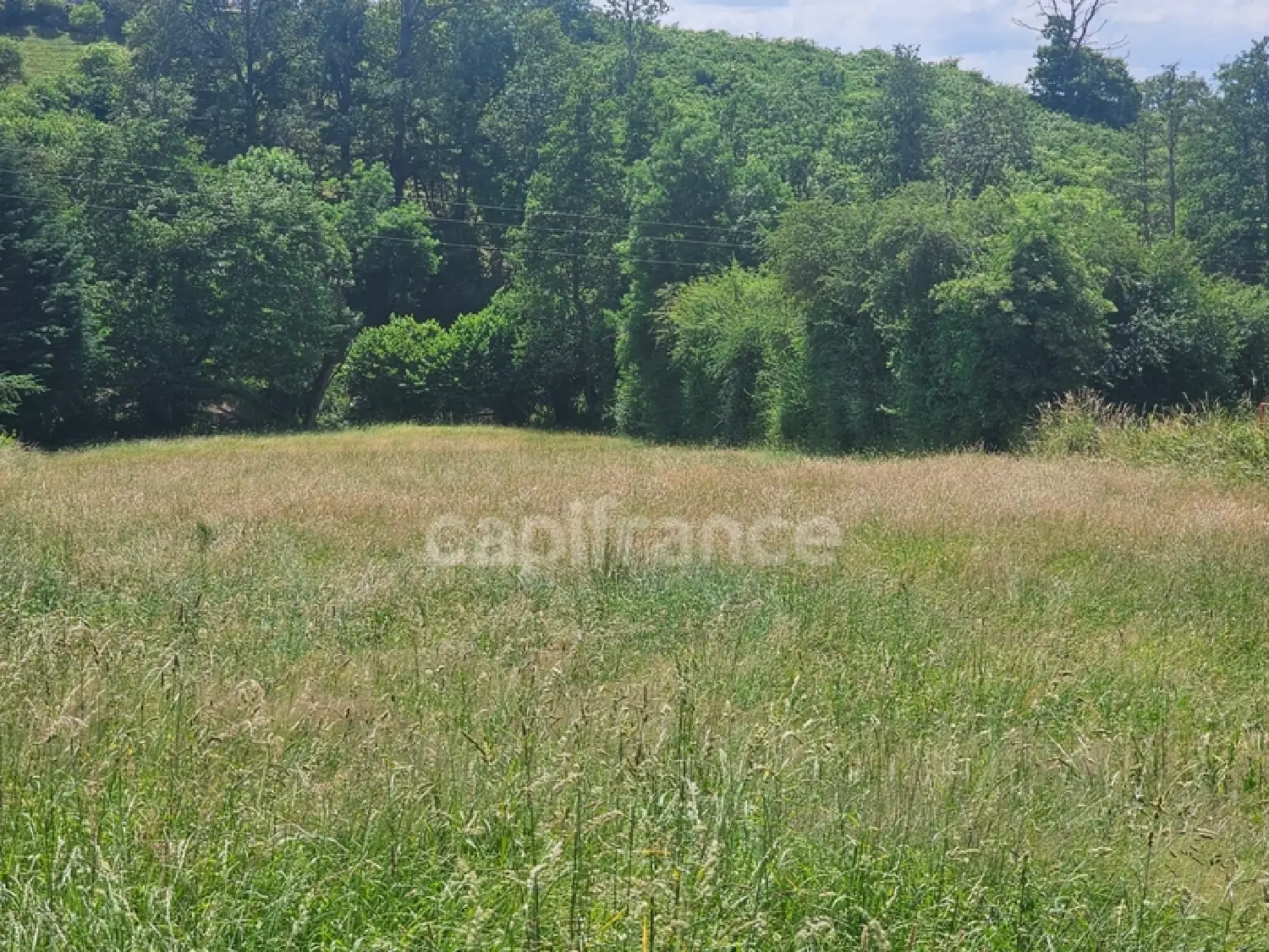  en venta terreno Panissières Loire 1