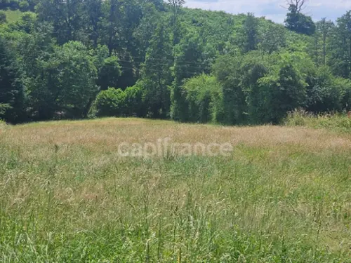 Panissières Loire terreno foto 7099991