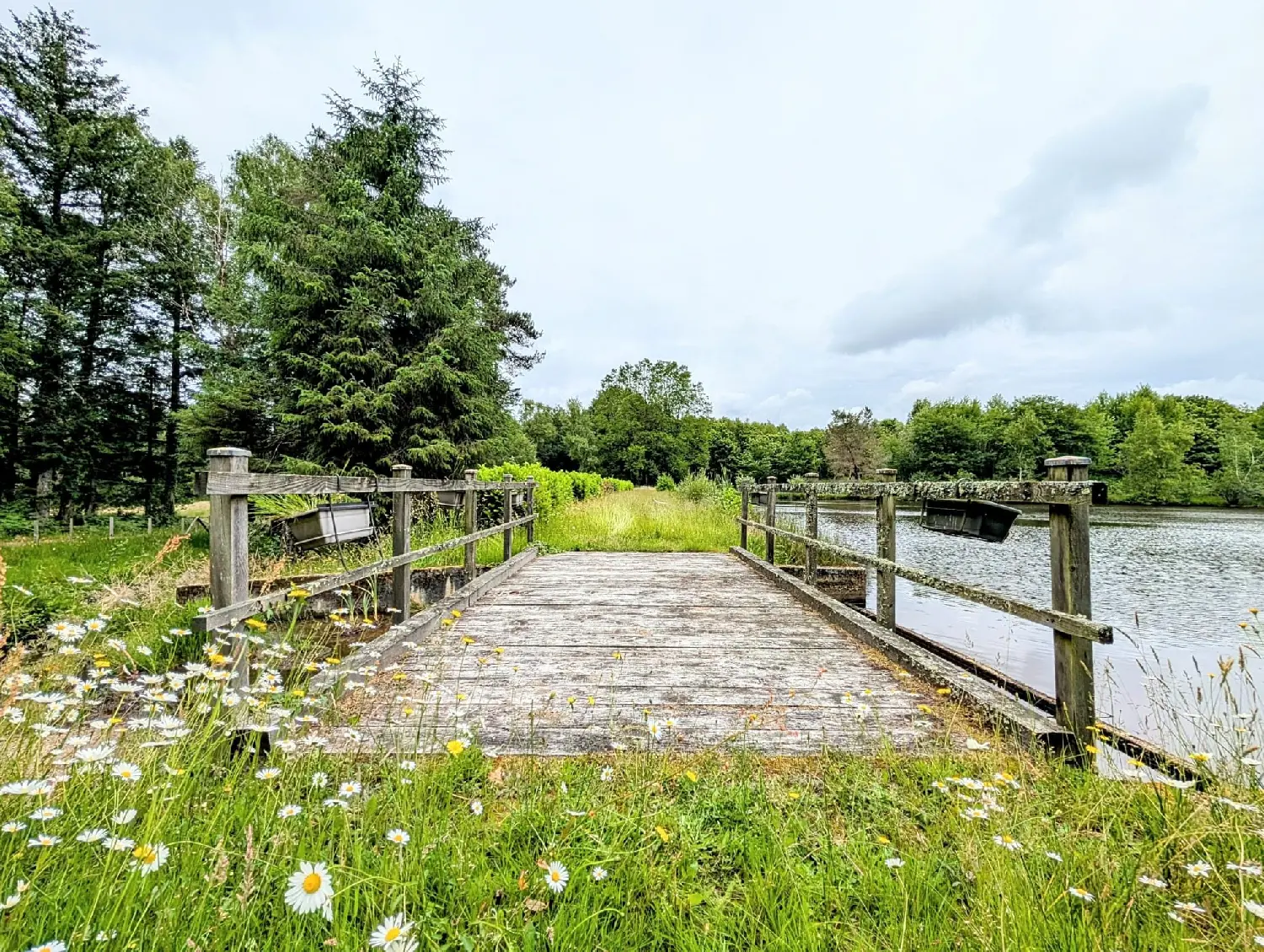  for sale terrain Pensol Haute-Vienne 5