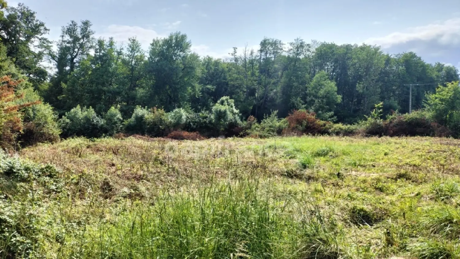  à vendre terrain Saint-Père Yonne 5