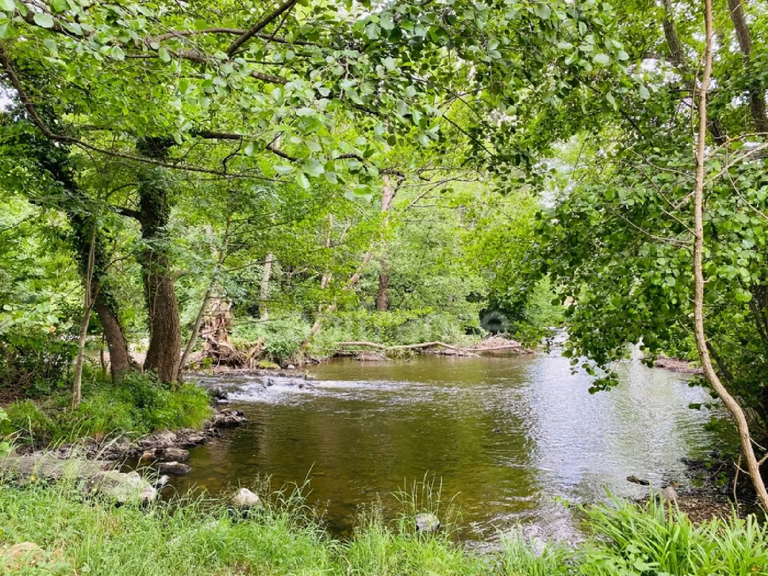  à vendre terrain Saint-Père Yonne 7