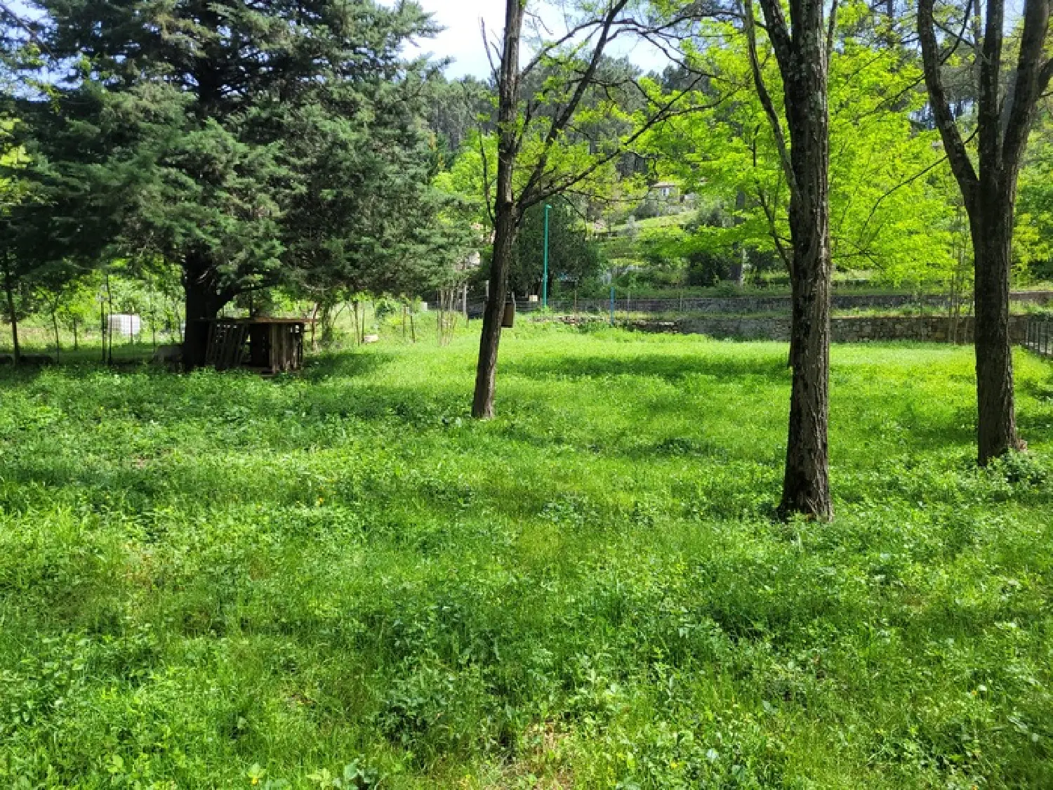  for sale terrain Peyremale Gard 2