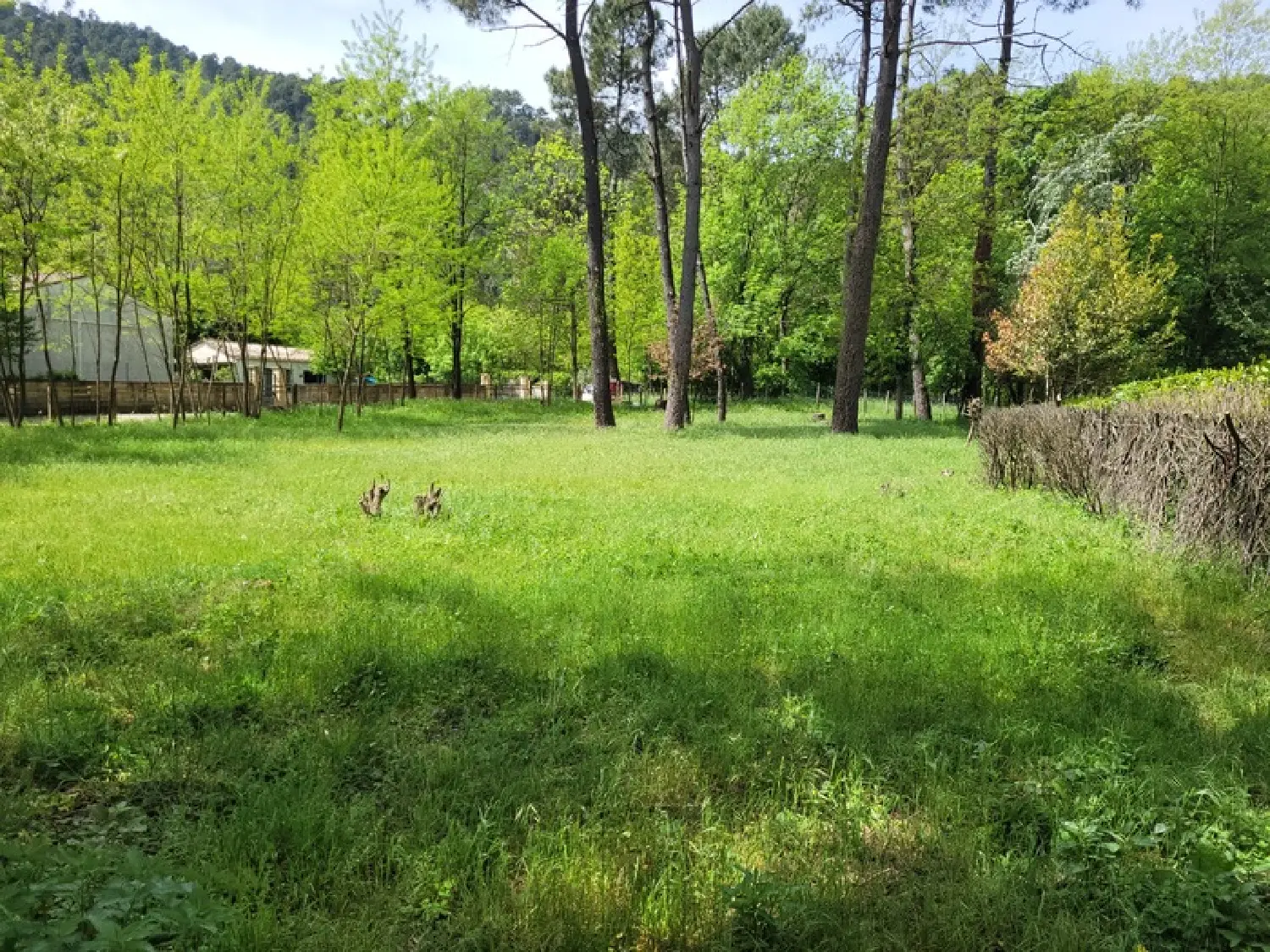  for sale terrain Peyremale Gard 4