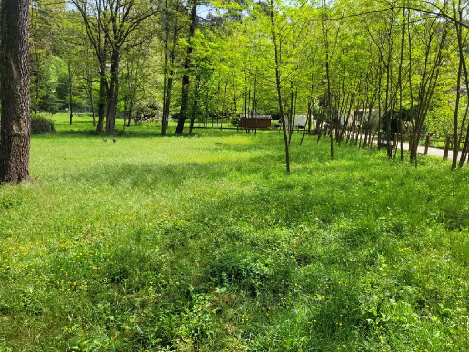  for sale terrain Peyremale Gard 5