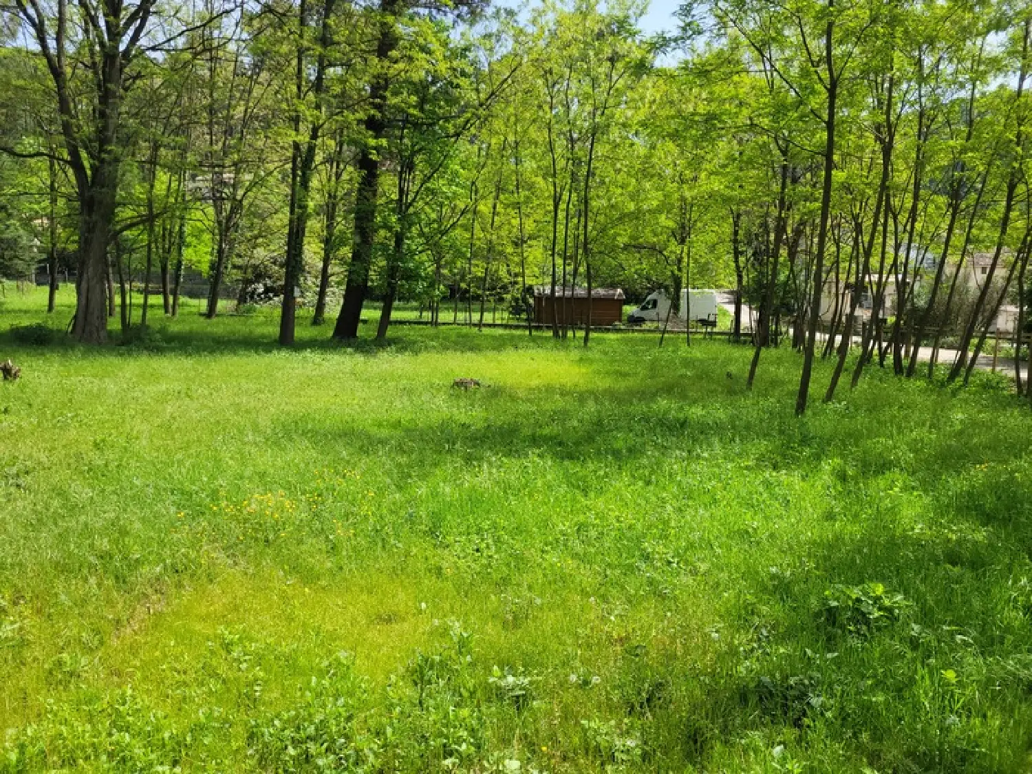  for sale terrain Peyremale Gard 6