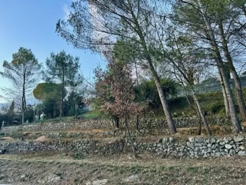 Plascassier Alpes-Maritimes terrain foto 7100594