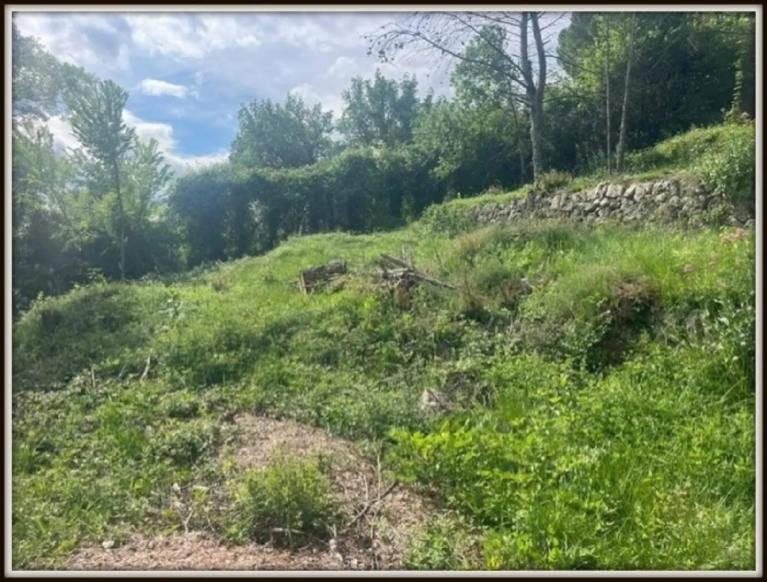  for sale terrain Plascassier Alpes-Maritimes 1