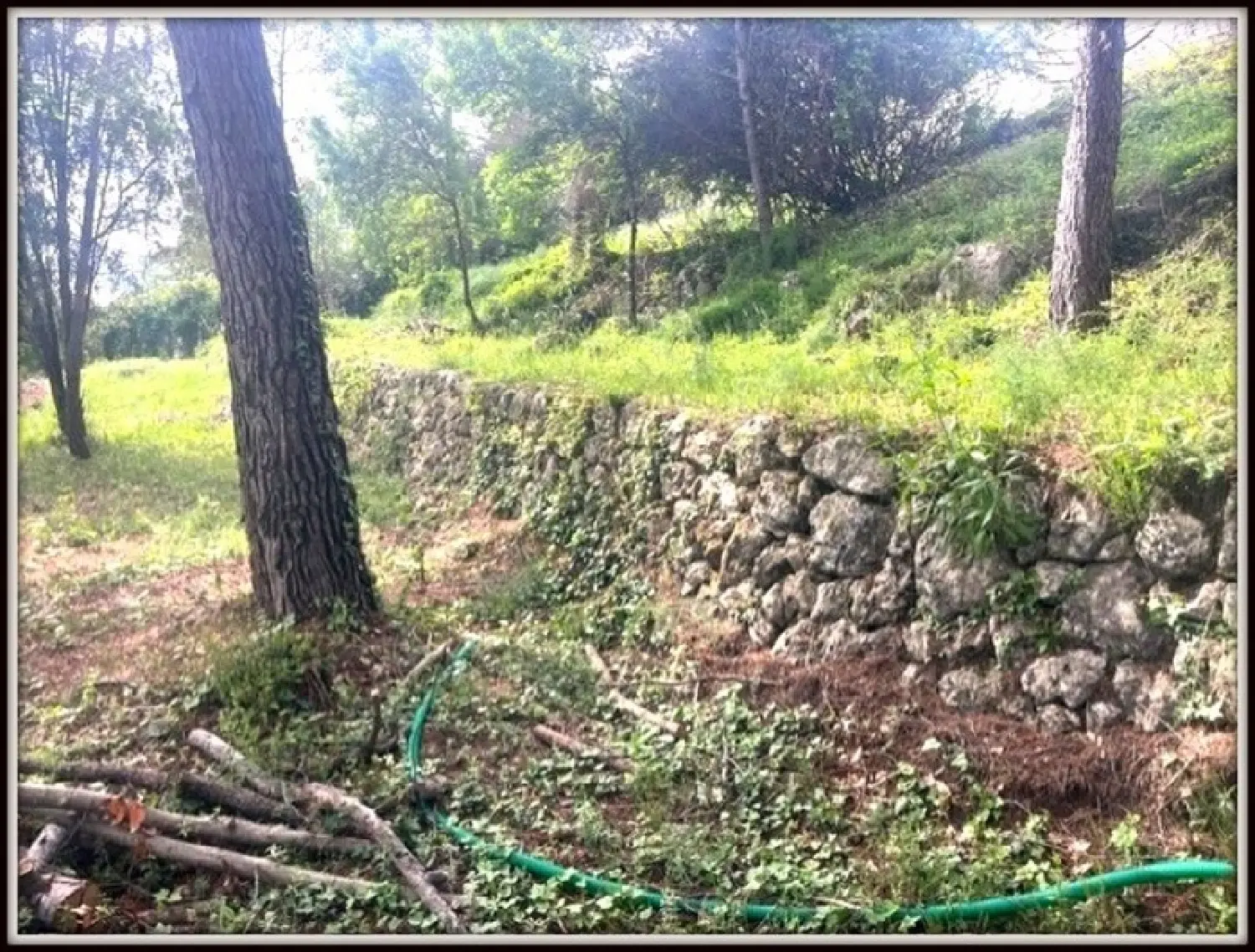  for sale terrain Plascassier Alpes-Maritimes 6