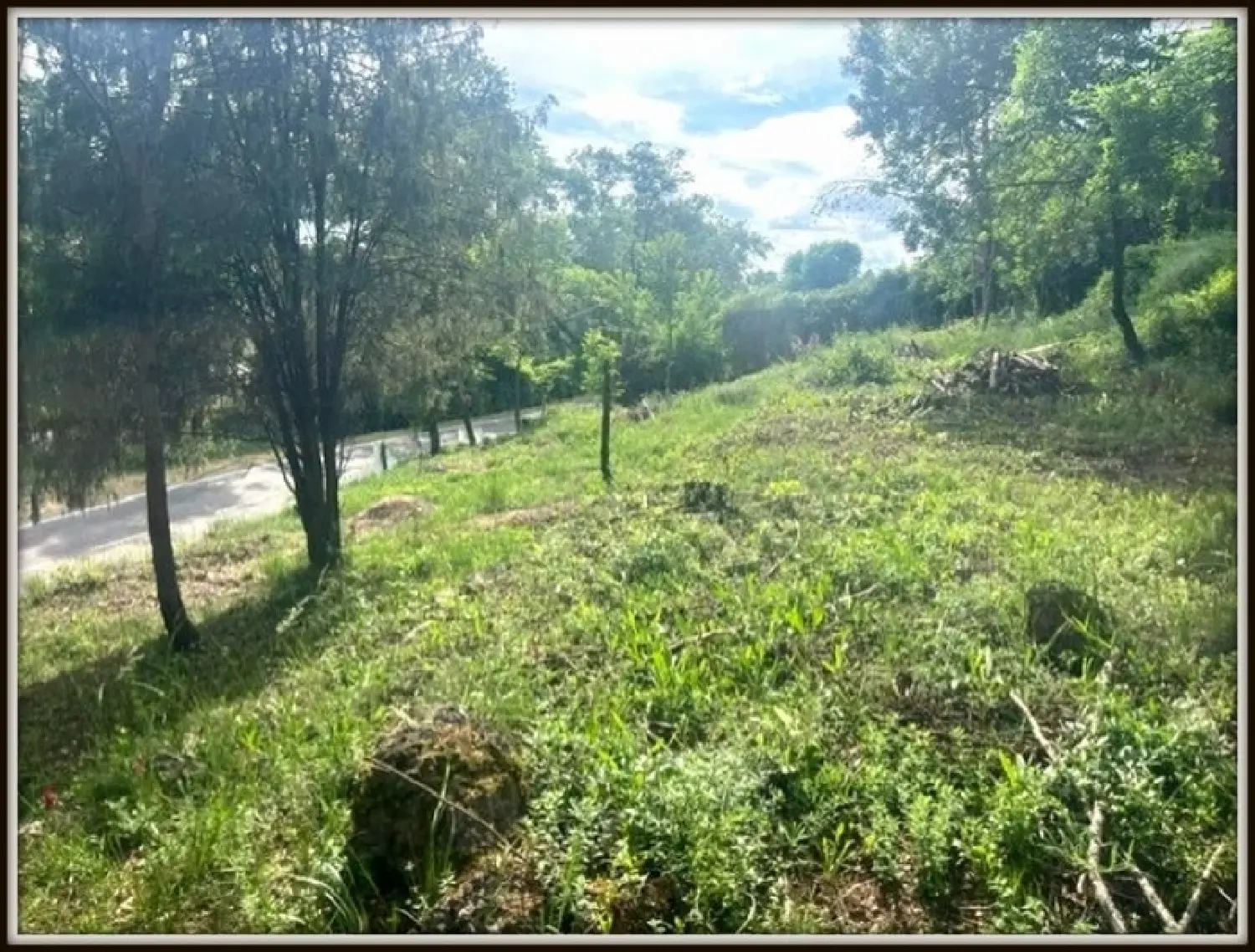  for sale terrain Plascassier Alpes-Maritimes 7