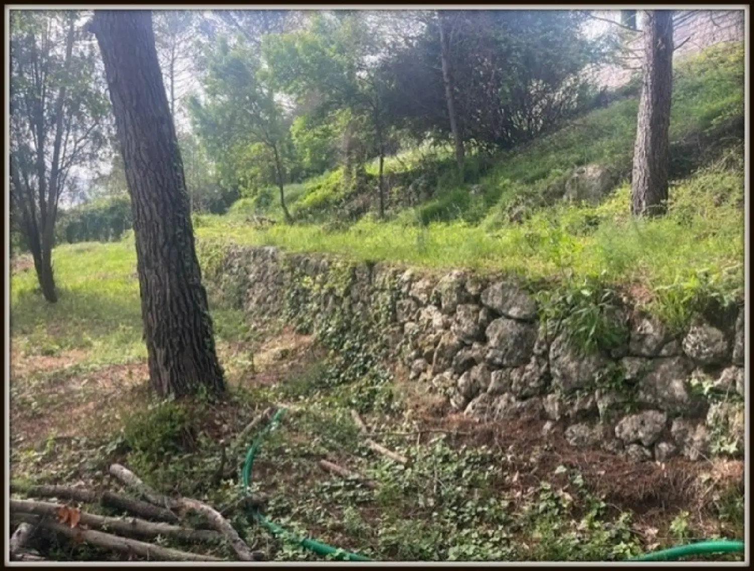  for sale terrain Plascassier Alpes-Maritimes 8