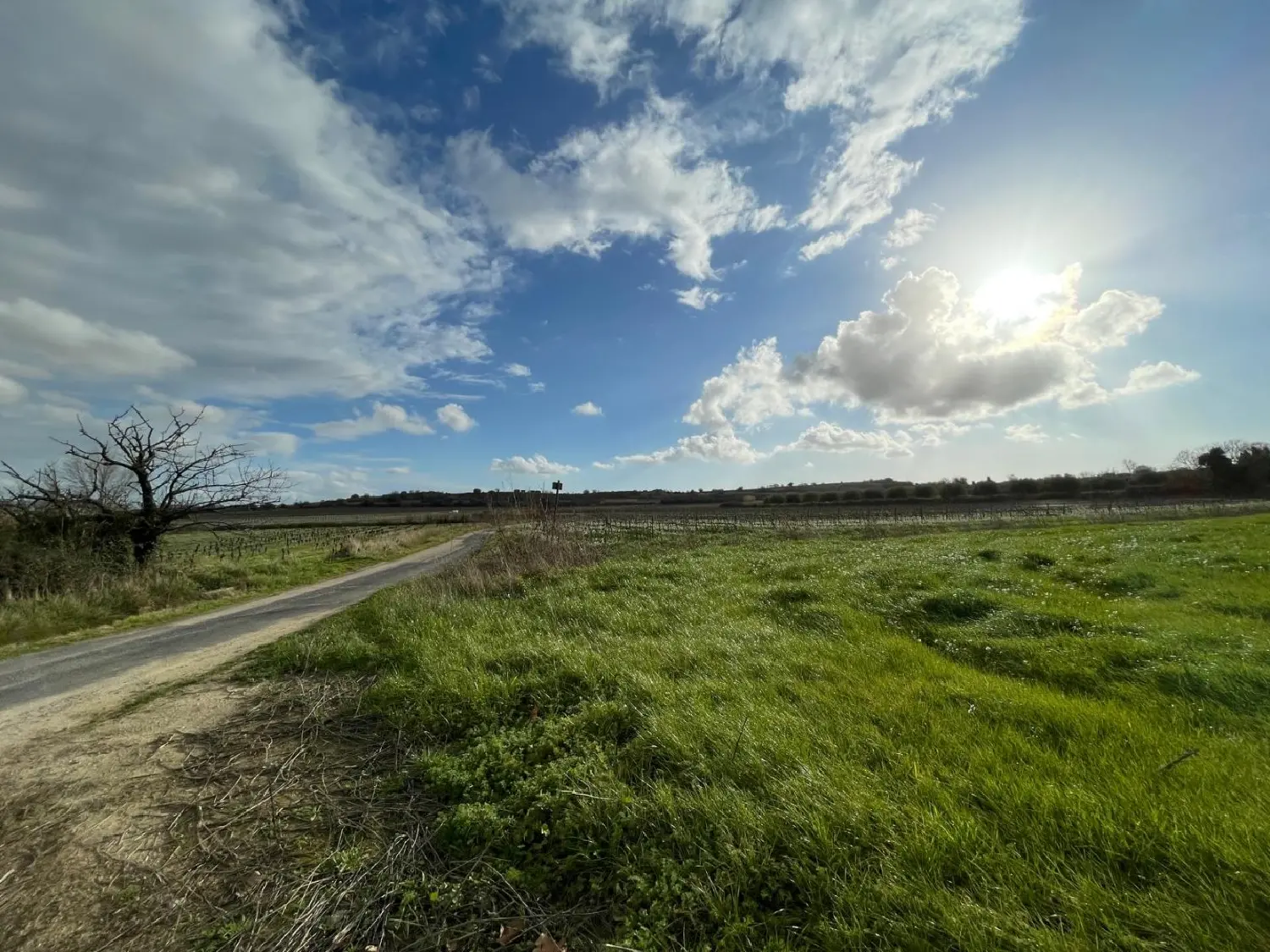  te koop terrein Pouzolles Hérault 1