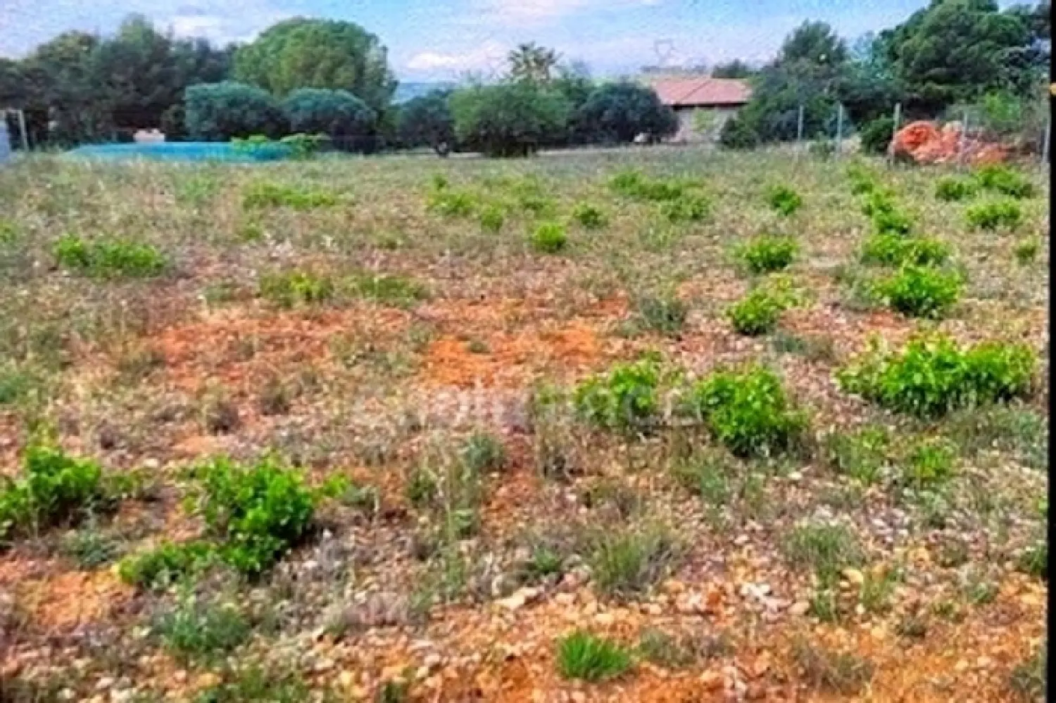  for sale terrain Puisserguier Hérault 1