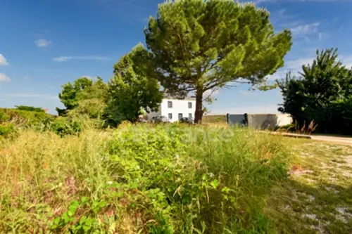 Pussay Essonne terrain foto 7094773