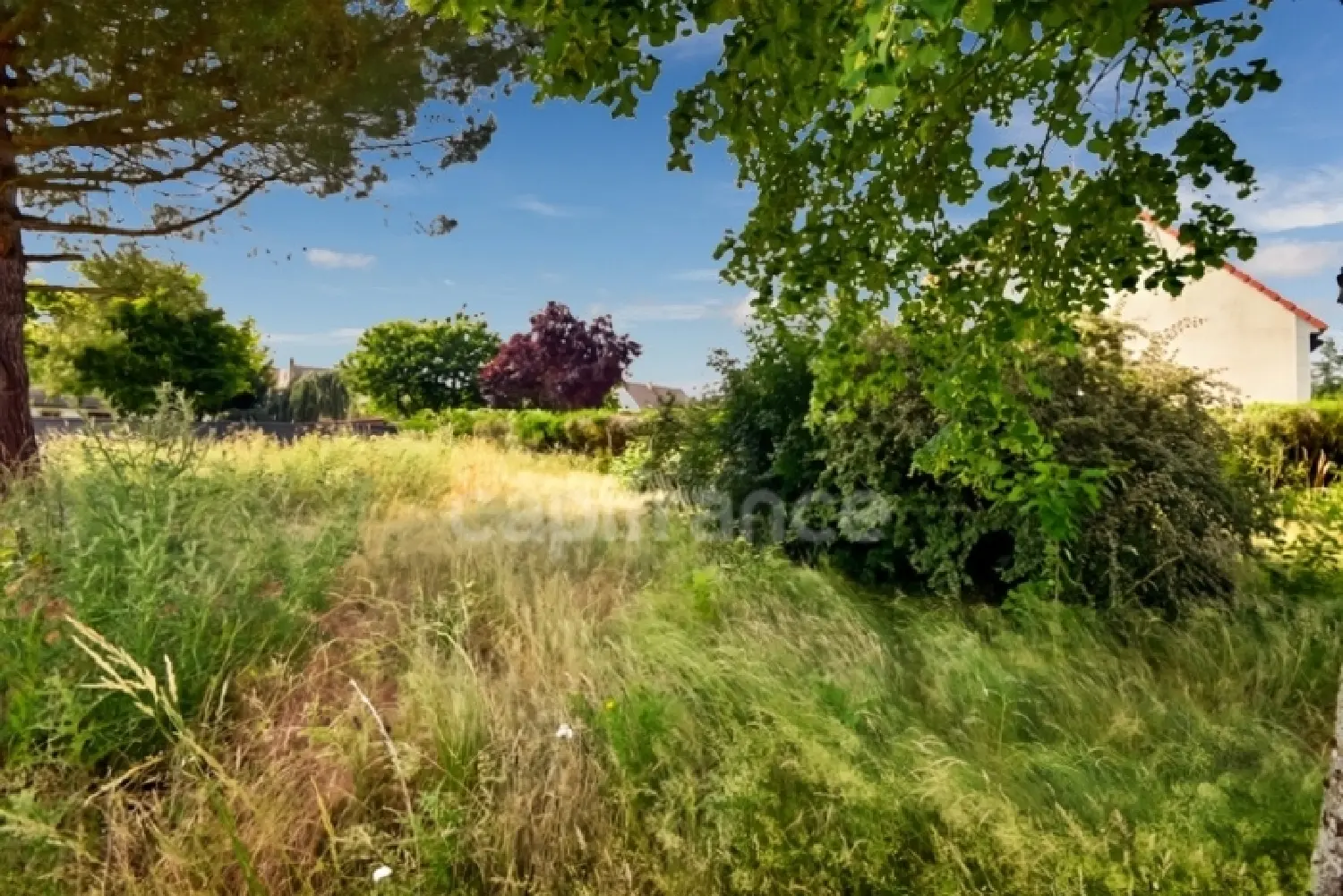  en venta terreno Pussay Essonne 3