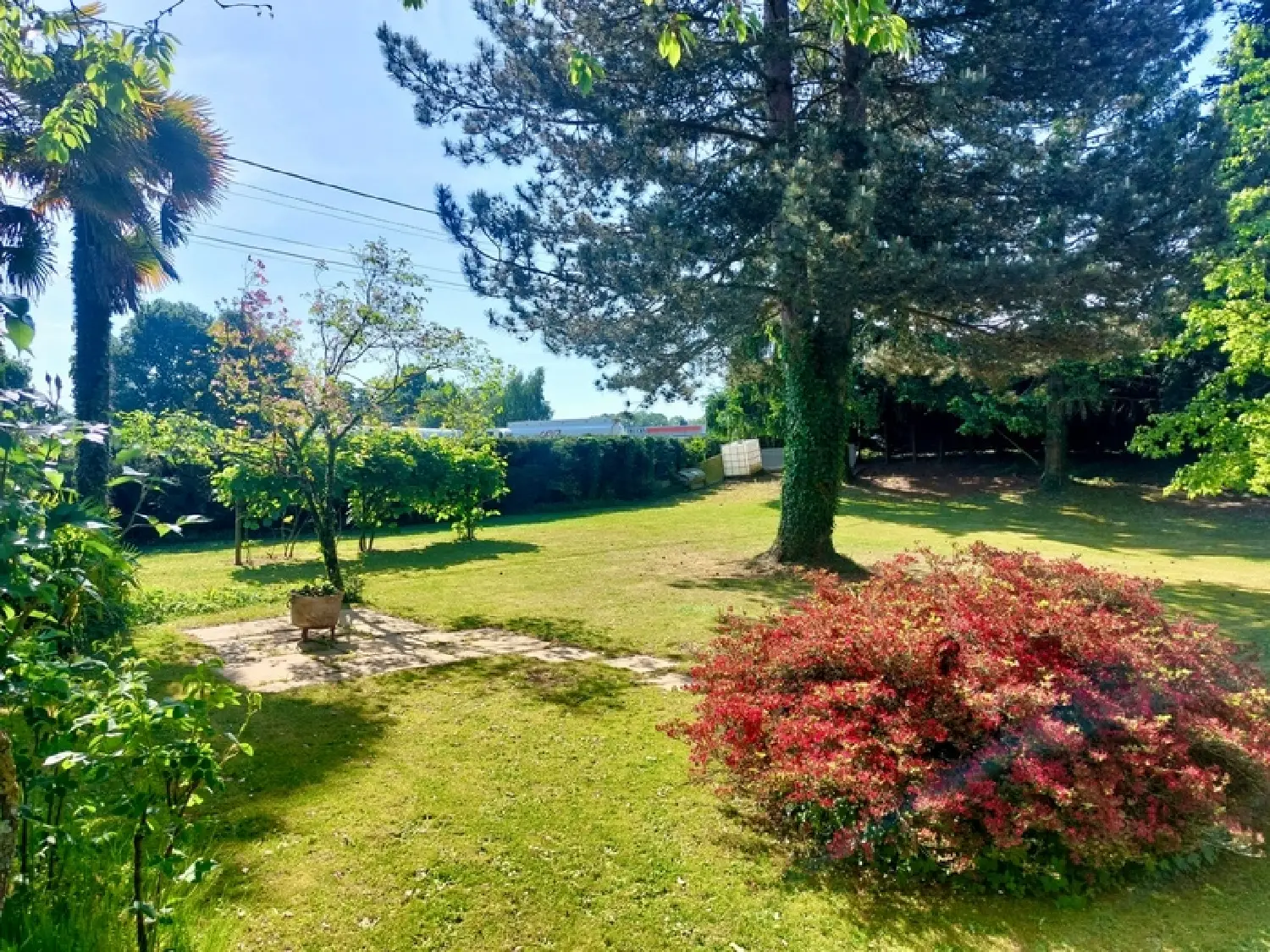  en venta terreno Romagné Ille-et-Vilaine 1