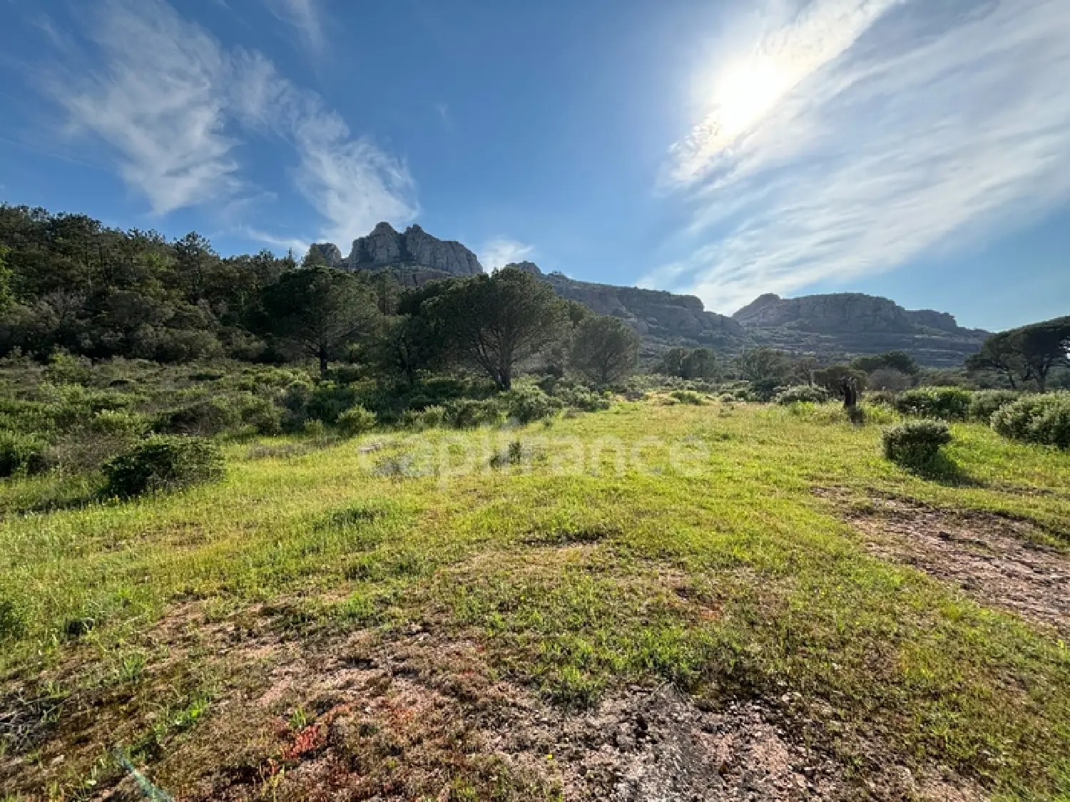  kaufen Grundstück Roquebrune-sur Argens Var 1