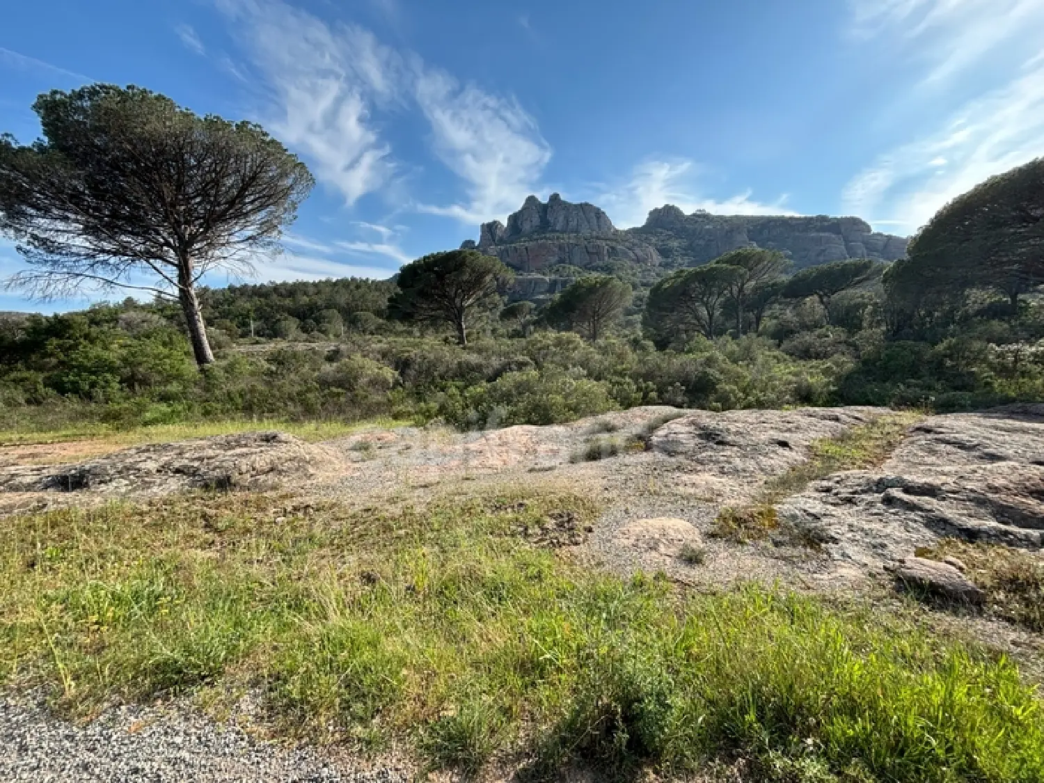  kaufen Grundstück Roquebrune-sur Argens Var 3