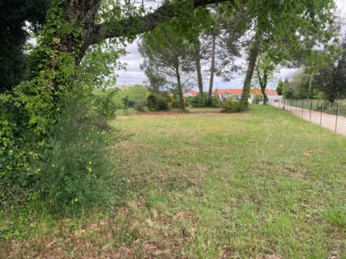 Saint-Augustin Charente-Maritime terreno foto 7099255