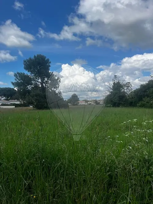Saint-Augustin Charente-Maritime Grundstück Bild 7097019
