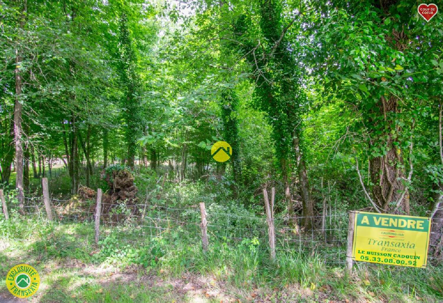  for sale terrain Saint-Chamassy Dordogne 2