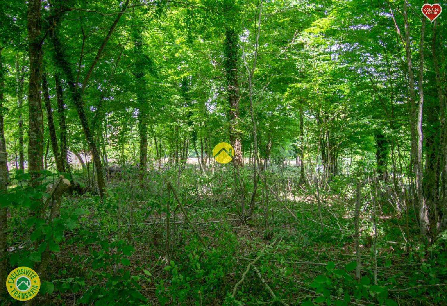  for sale terrain Saint-Chamassy Dordogne 3