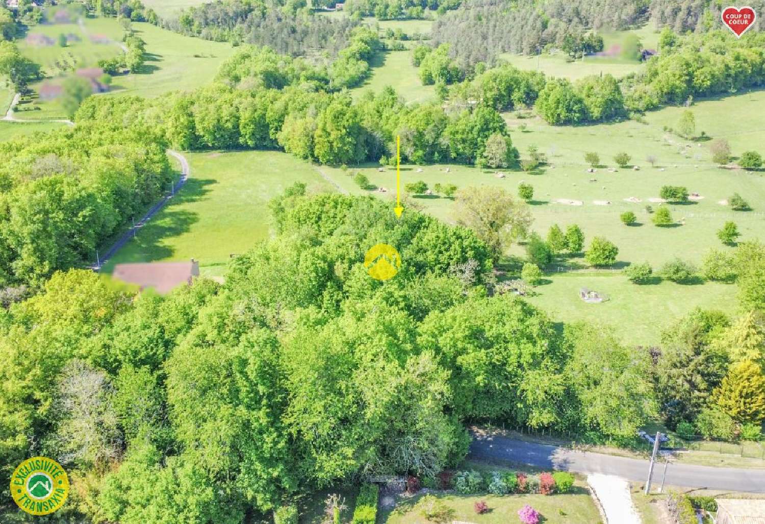  for sale terrain Saint-Chamassy Dordogne 5