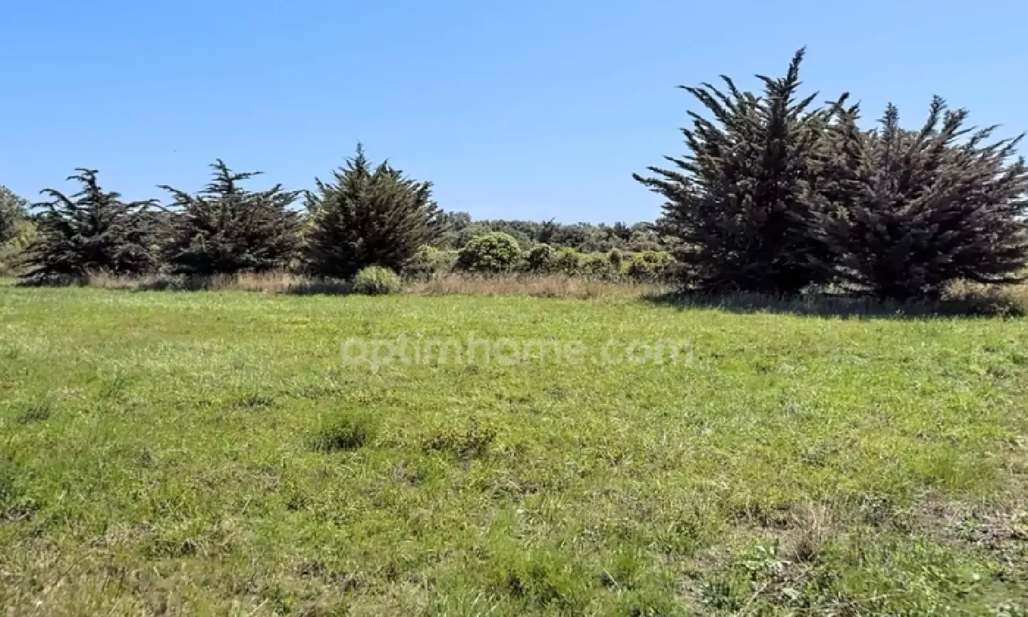  te koop terrein Saint-Denis-d'Oléron Charente-Maritime 1