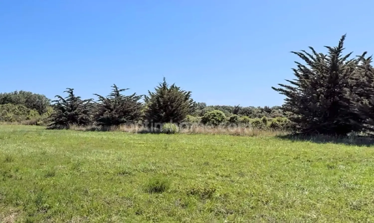  te koop terrein Saint-Denis-d'Oléron Charente-Maritime 5