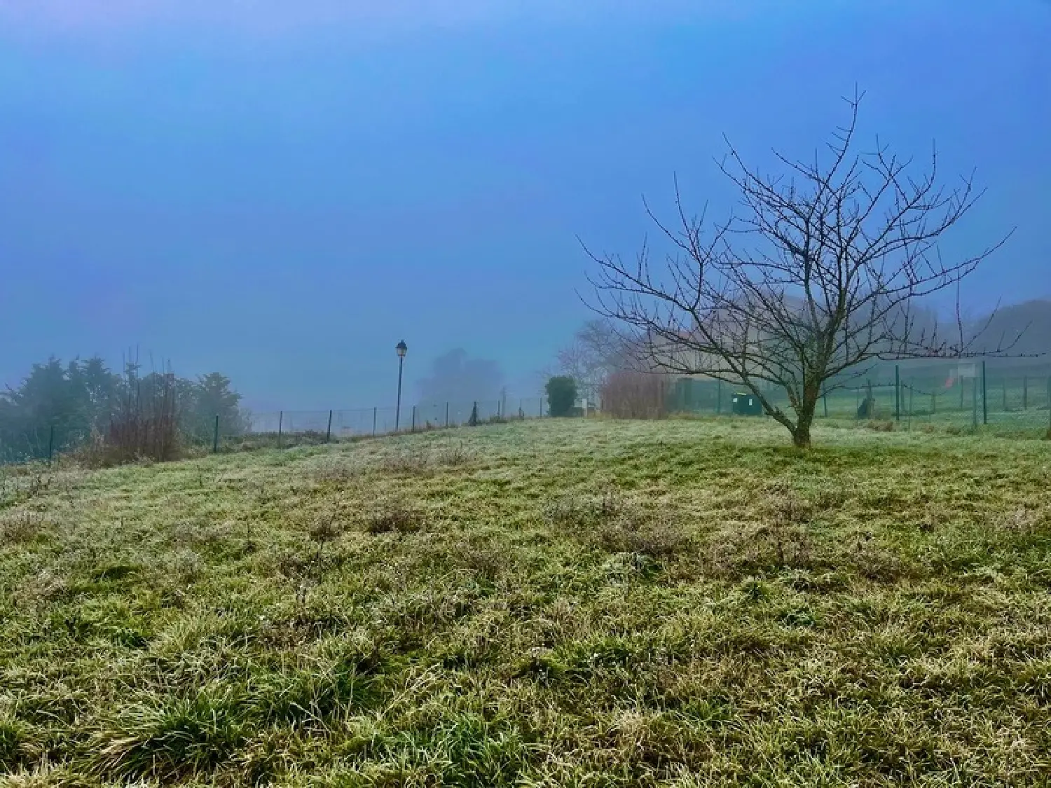  en venta terreno Saint-Didier-au-Mont-d'Or Rhône 1