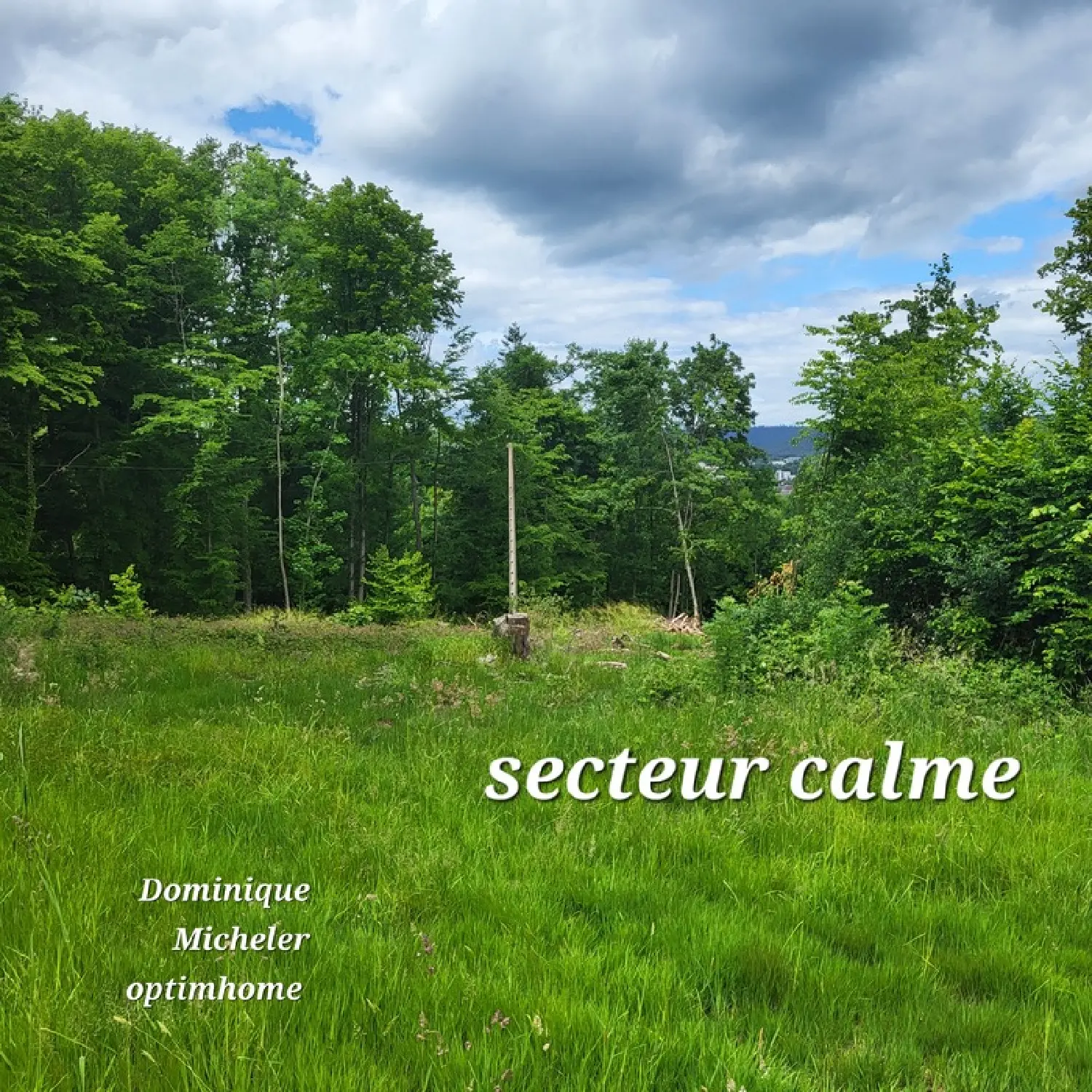  te koop terrein Saint-Dié Vogezen 3