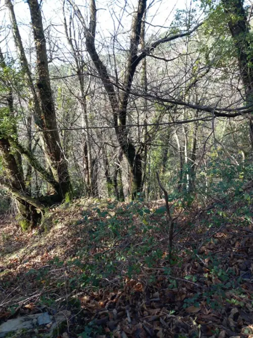 Saint-Étienne-Vallée-Française Lozère terrain foto 7101598