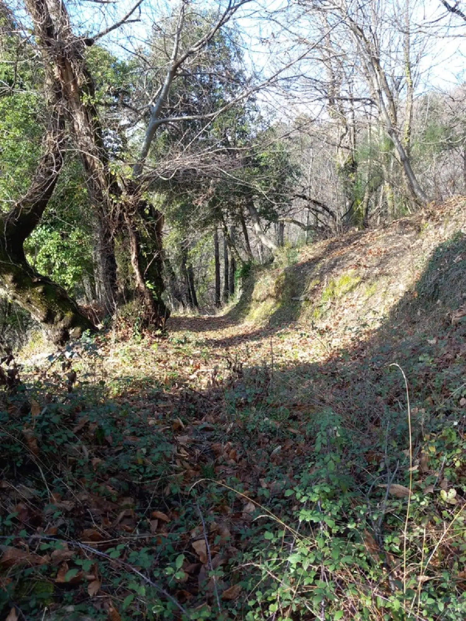  à vendre terrain Saint-Étienne-Vallée-Française Lozère 3